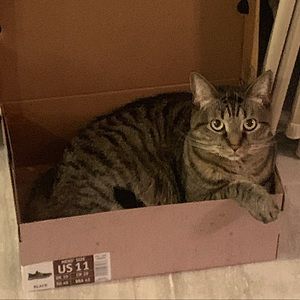 Meet your Posher, Jake